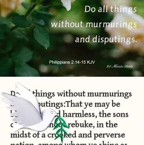 Meet your Posher, Waynedoylesr